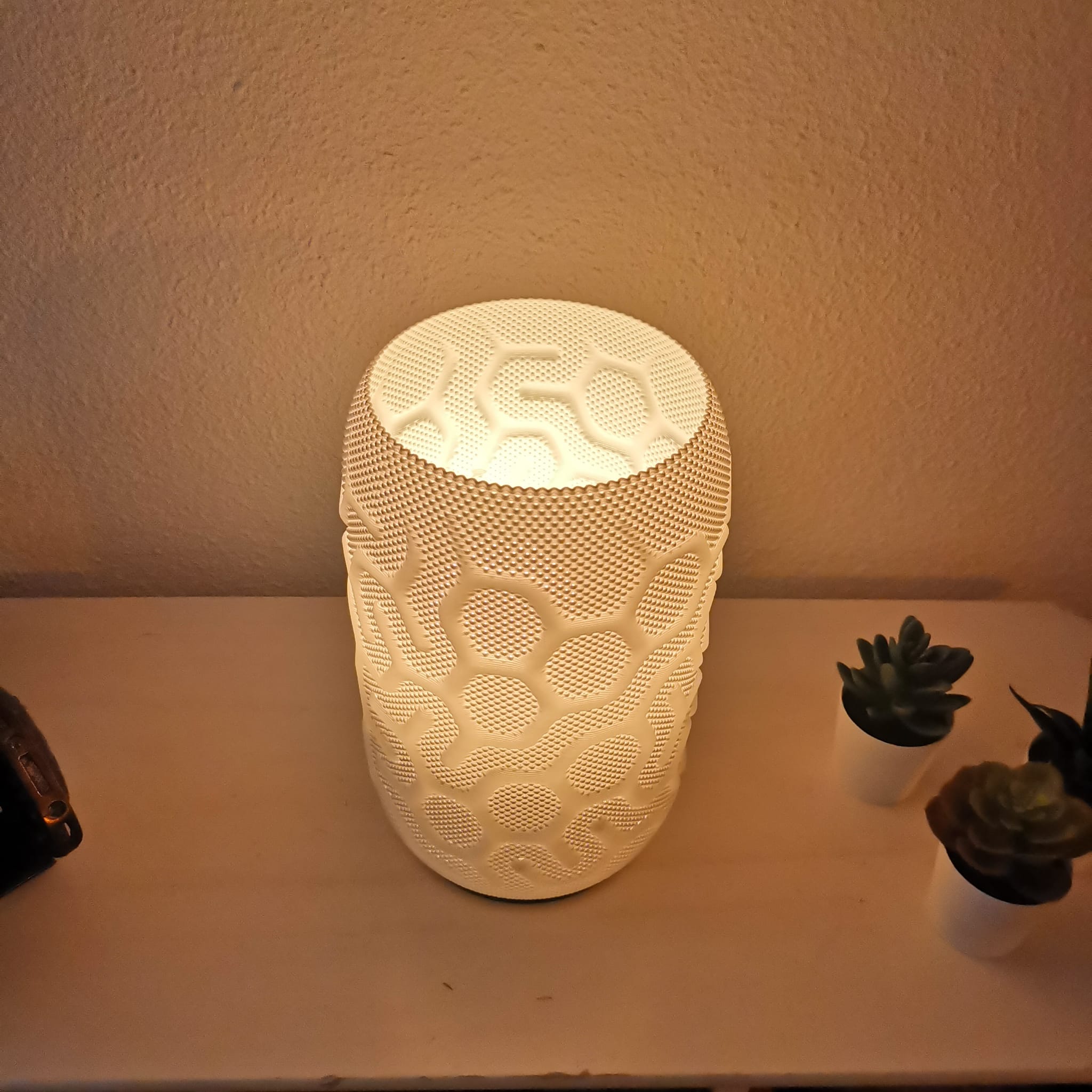 Decorative lamp with textured surface on a shelf with plants