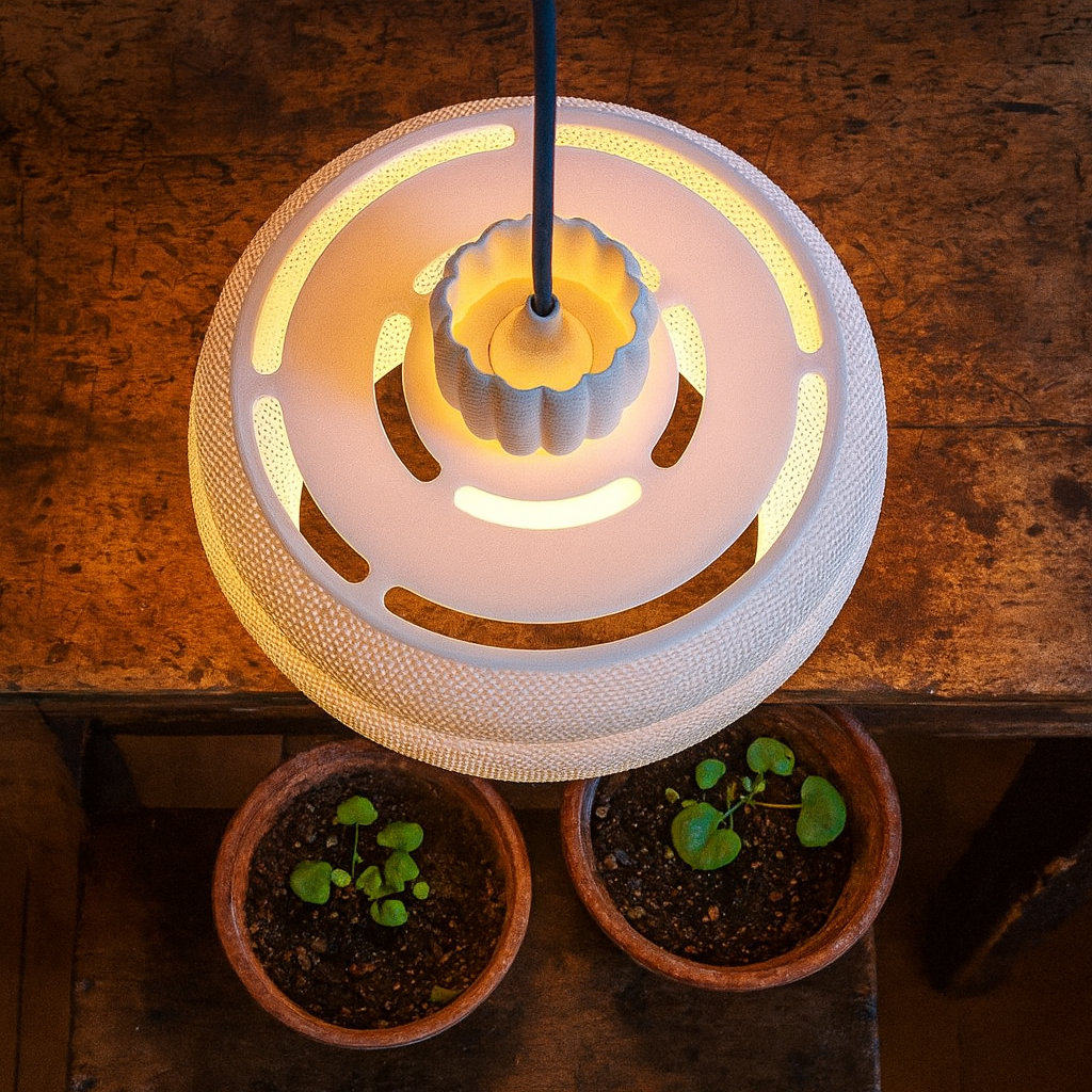 Ceiling light fixture on a wooden surface with two small potted plants.