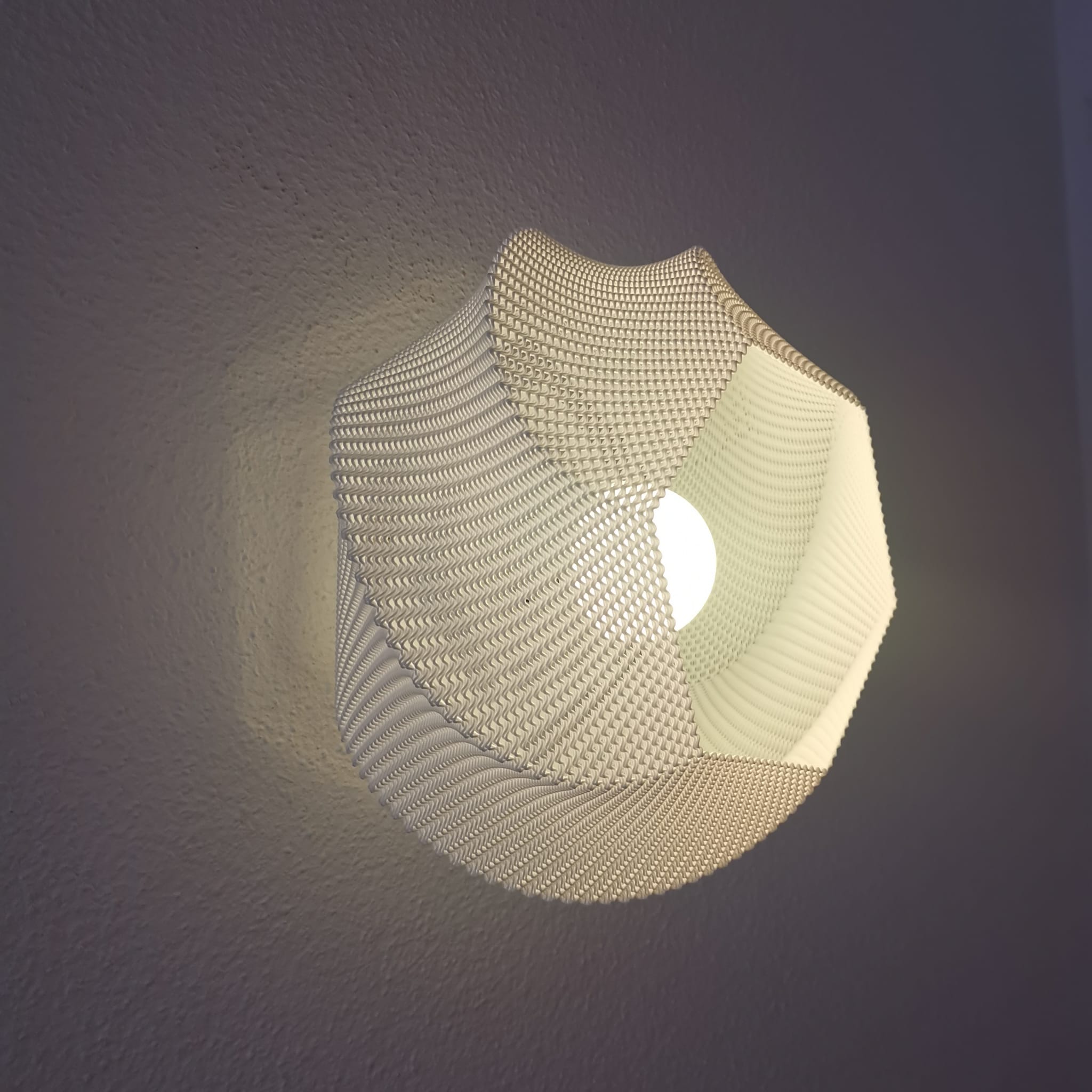 Decorative wall light fixture on a plain wall
