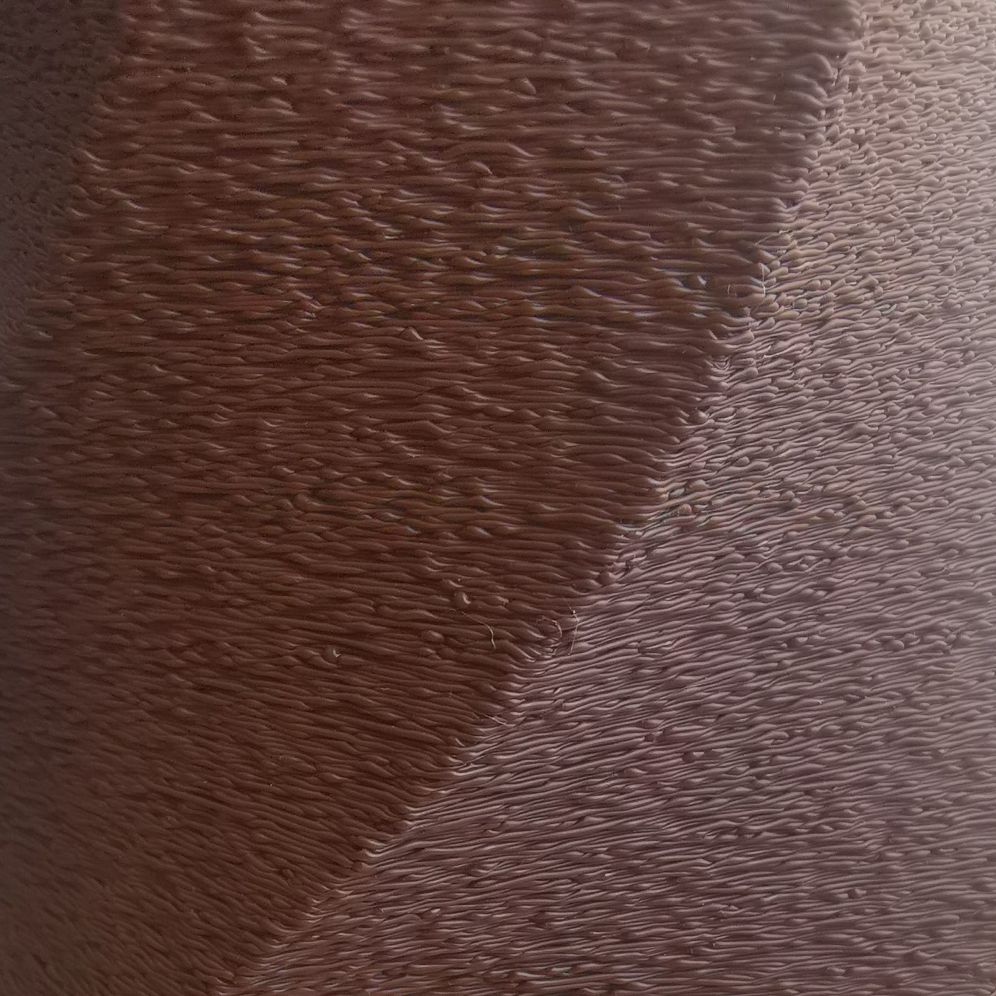 Close-up of a textured brown surface