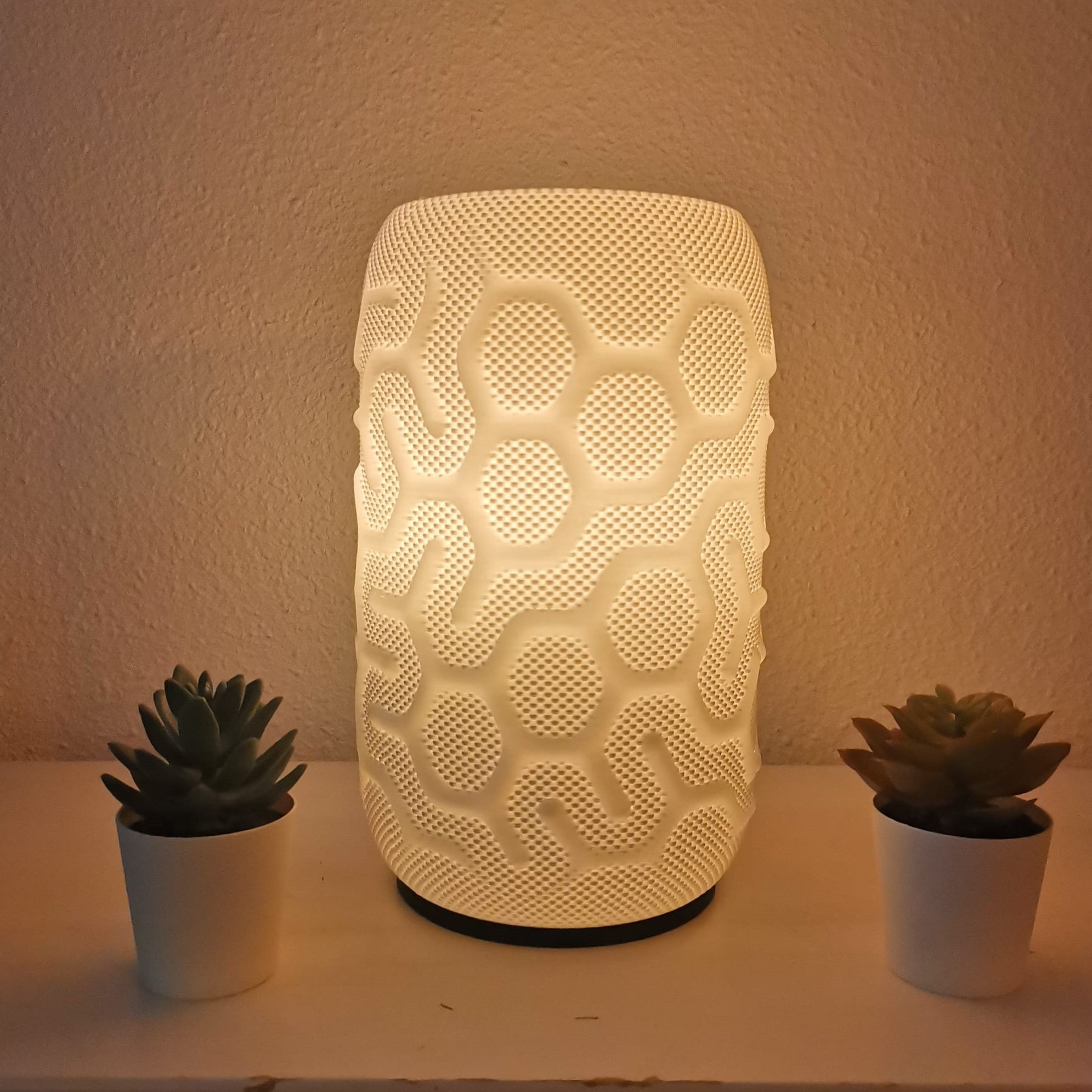Textured ceramic lamp with two small potted plants on a neutral background