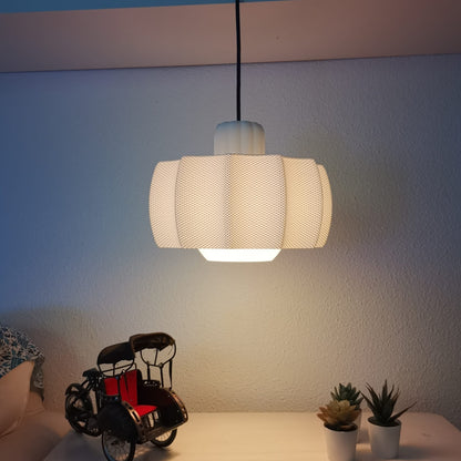Light fixture hanging on a wall with a child's toy and plants below